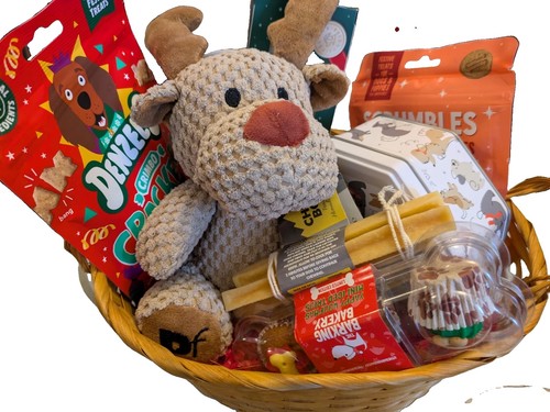 Christmas dog gift basket - dog,