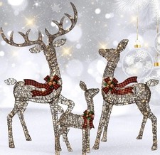 Outdoor Christmas Decoration