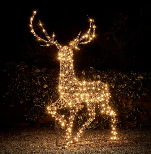 Outdoor reindeer large stag - reindeer,